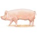 Комбикорм для свиней (цена действительна до 01.09.2019 ЗВОНИТЕ)